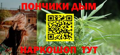 спиды Гатчина