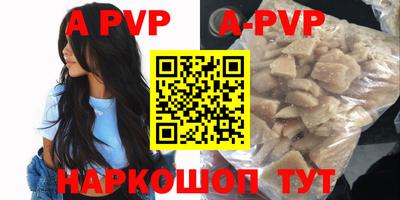 спиды Гатчина
