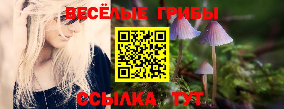 Псилоцибиновые грибы Cubensis  Вход с VPN  Галлюциногенные грибы Psilocybe  Нововоронеж 